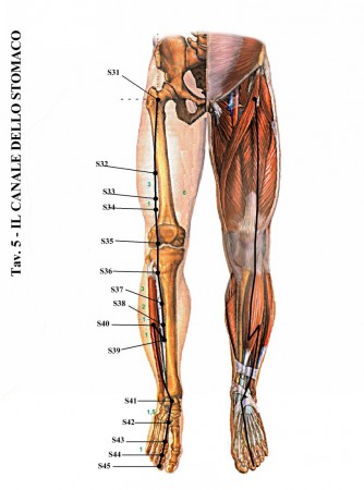 (immagini tratte da www.kyusho.it)